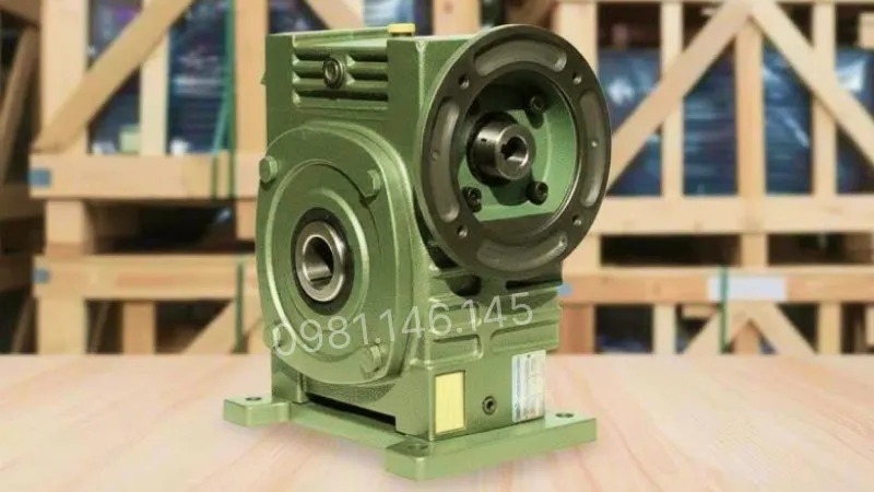 Thiết kế tổng quan hộp giảm tốc trục vít WPDKS 60