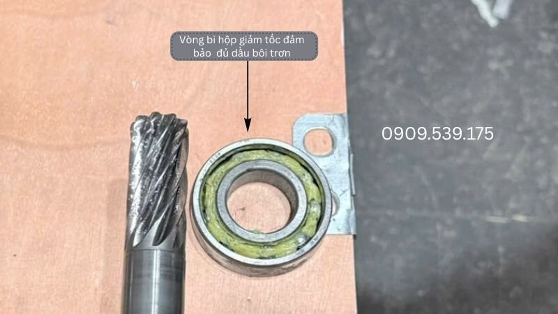 Vòng bi trục hộp giảm tốc đảm bảo bôi trơn dầu đầy đủ.