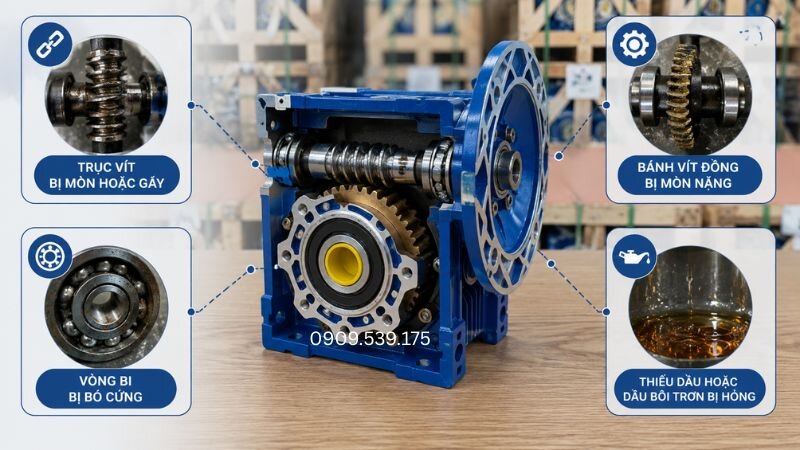 Các bộ phận bên trong ảnh hưởng đến khả năng truyền động của hộp số NMRV
